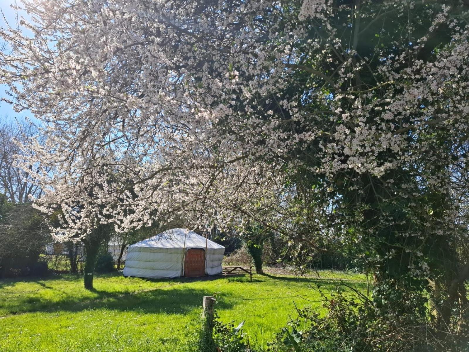 Le Village Insolite Yourte Et Roulotte Saint-Benoît-des-Ondes Exterior foto